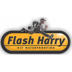 FLASH HARRY
