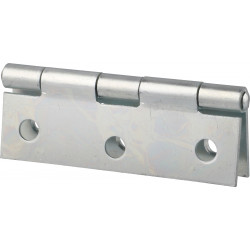 Butt Hinge Galvanised 50mm (2)