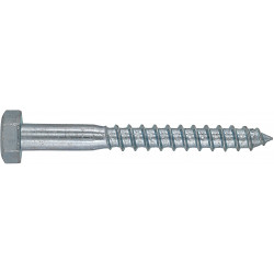 Coach Screws 10x150mm (75)