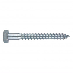 Coach Screw & Plug 12x60mm (30)