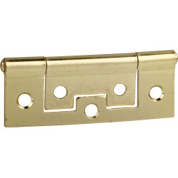 Flush Hinge Brass Plated 38mm (2)