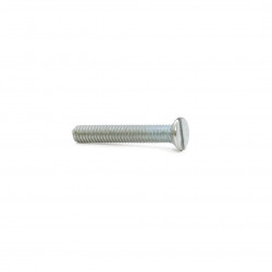 Machine Screw Counter Sunk Slotted 6x100mm (10)
