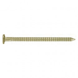 Ring Shank Nail 100mm (500g)