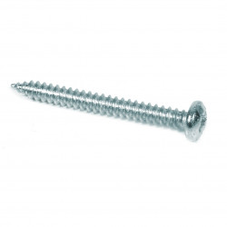Self Tapping Screw Pan Combi 5.5x16mm (10)