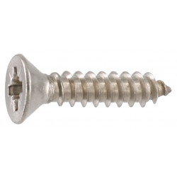 Stainless Steel Chipboard Screw 3.5x20mm (25)