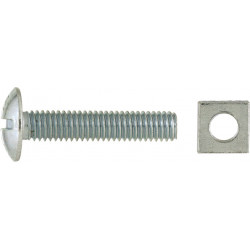 Stainless Steel Gutter Bolt & Nut 6x30 (5)