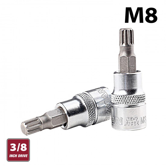 FIXMAN 3/8' Dr.bit Spline Socket M8 FIXMAN 3/8' Dr.bit Spline Socket M8
