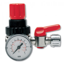Pressure Reducer Micro 1/4'