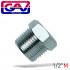 Taper Plug 1/2