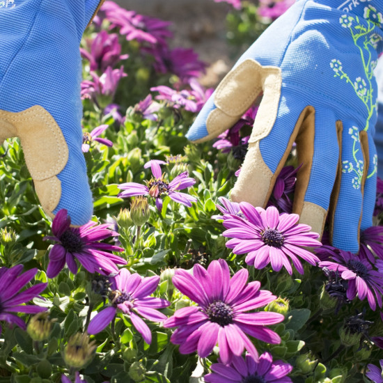 Ladies Slim Fit X-small Garden Gloves Blue Ladies Slim Fit X-small Garden Gloves Blue
