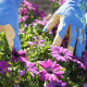 Ladies Slim Fit X-small Garden Gloves Blue Ladies Slim Fit X-small Garden Gloves Blue