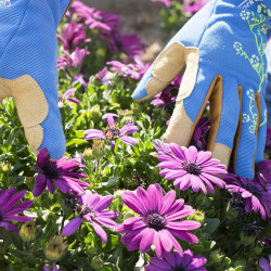 Ladies Slim Fit Small Garden Gloves Blue