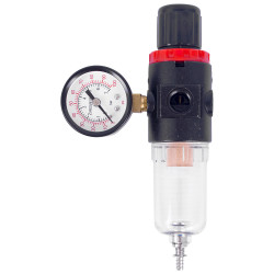 Reg. & Filter For All Mini Comp 1/4 X 1/4 M