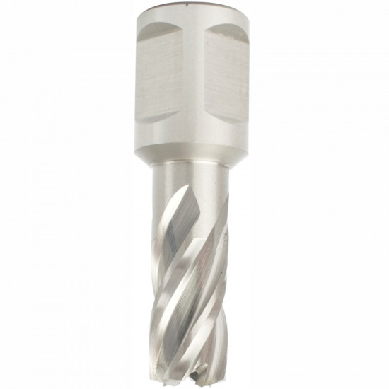 Annular Hole Cutter Hss 12 X 30mm Weld Shank 19.05mm