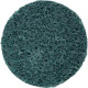 Non Woven Disc Screw Type 50mm 10pc Blue Fine For Surface Cond. Kit Non Woven Disc Screw Type 50mm 10pc Blue Fine For Surface Cond. Kit