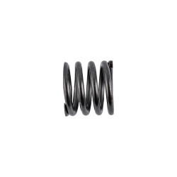 Plunge H&le Rotor Spring (51.8) Tra001 Router 2400w