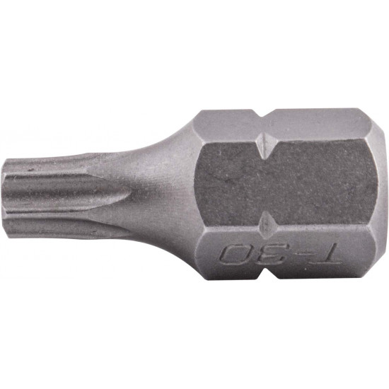 Torx Tamper Proof T30 X 25mm 10mm Hex Shank Torx Tamper Proof T30 X 25mm 10mm Hex Shank